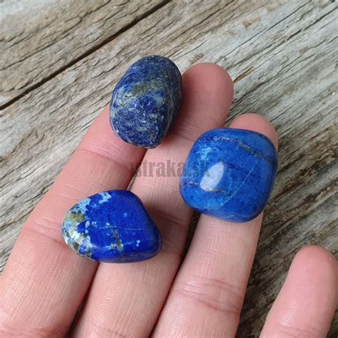 Lapis lazuli - kameň múdrosti Psa