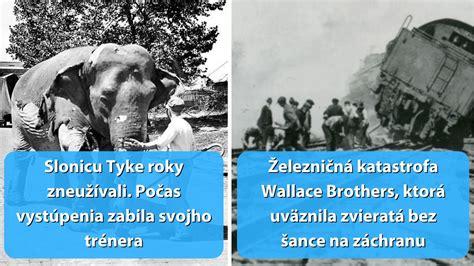Historické zobrazenie 