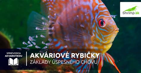 Rôzne druhy malých akváriových rýb