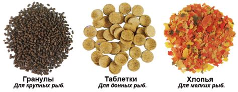 Rôzne druhy krmiva pre akvarijné ryby
