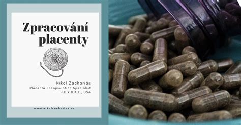 Symbolická ilustrácia placenty ako zdroja života a výživy