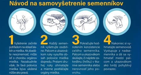 Schéma typov rakoviny semenníkov