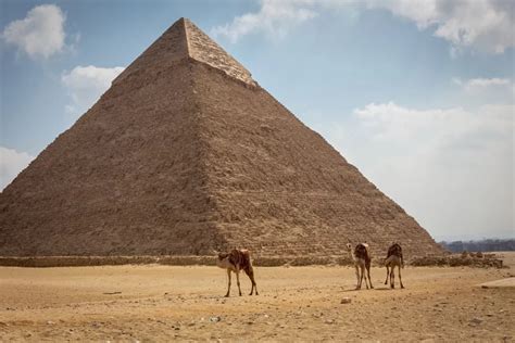Staroveké metódy zisťovania tehotenstva v Egypte