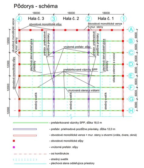 schematické znázornenie prednej a zadnej placenty