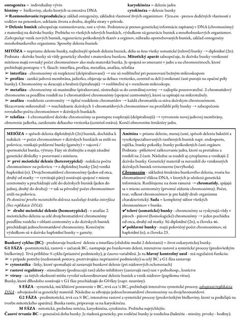 Základná štruktúra B-komplexu vitamínov