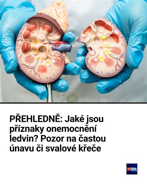 Schéma invazívnych prenatálnych vyšetrení