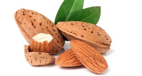 Ilustrácia mandľového oleja a mandlí