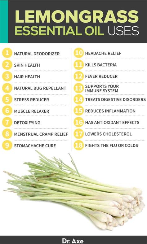 Infographic on the uses and benefits of lemongrass
