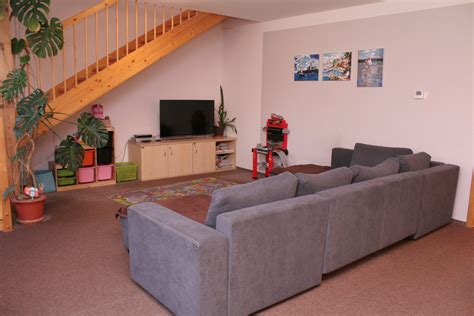 Rodinná skupina tamarínov