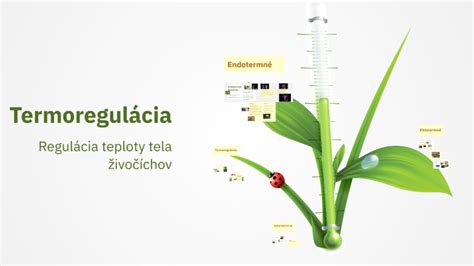 Infografika: Výhody ovčej vlny v detskom fusaku (termoregulácia, priedušnosť, hygiena)