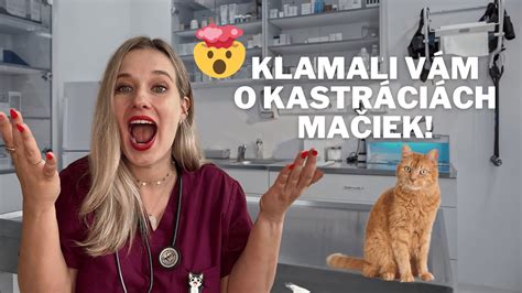 Ilustrácia kompulzívneho lízania u mačky