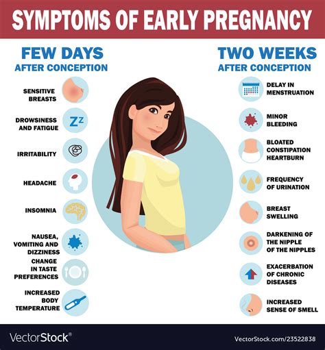 Early pregnancy symptoms infographic