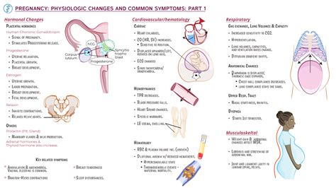 Hormonal changes before labor