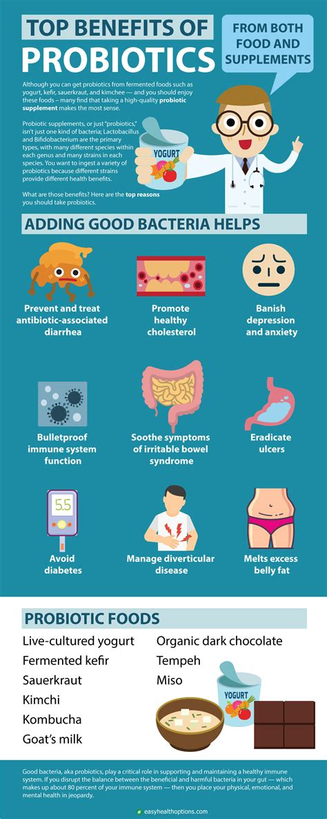 Probiotic benefits infographic