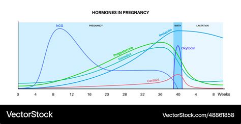 Hormone levels during pregnancy chart