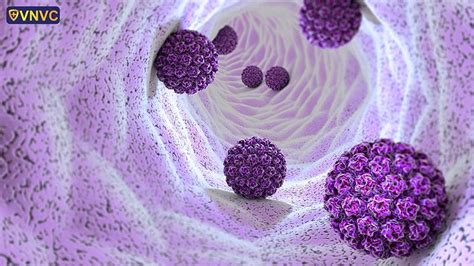 Detailná štruktúra ľudského papilomavírusu (HPV)