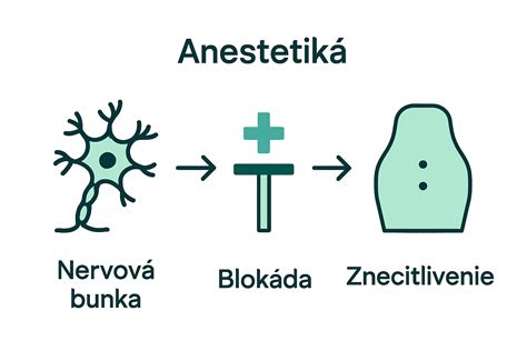 Mechanizmus pôsobenia peptidov na bunkovej úrovni