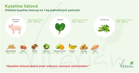 Infografika o dôležitosti kyseliny listovej v tehotenstve