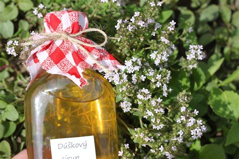 Domáci sirup z materinej dúšky