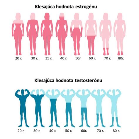 Diagram hormonálnej rovnováhy u žien