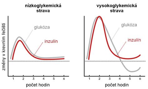 Graf porovnávajúci hladinu glukózy v krvi pred a po užití metformínu