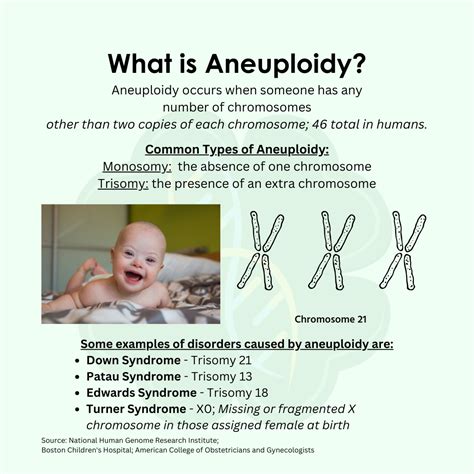 Diagram aneuploidie vajíčka