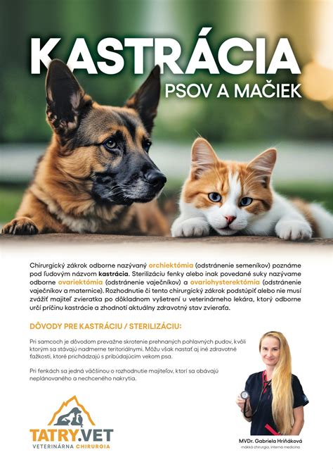 Infografika: Výhody kastrácie mačiek