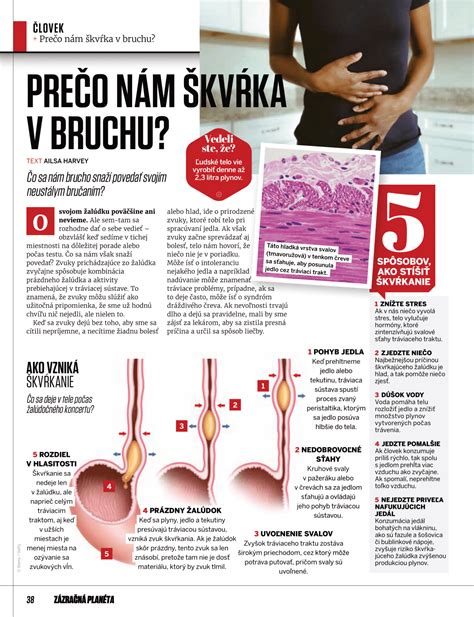 Ilustrácia tehotnej ženy s dvoma bábätkami v bruchu