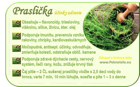Infografika: Liečivé účinky prasličky roľnej