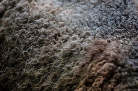 Merino vlna a ovčia koža - prierez materiálmi