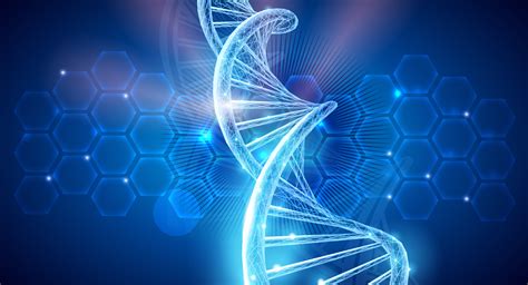 Genetika verzus prevencia strií