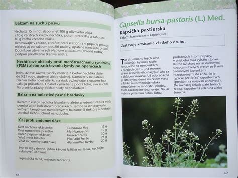 Infografika znázorňujúca zakázané látky a bylinky pre tehotné ženy