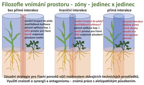 Schéma prenosu toxoplazmózy, listeriózy a ružienky