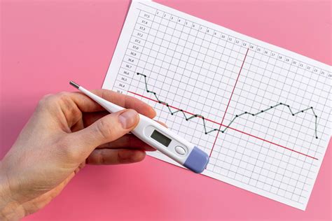Symptotermálna metóda a sledovanie plodnosti