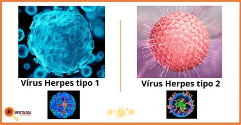 Mikroskopický pohľad na vírus Herpes simplex