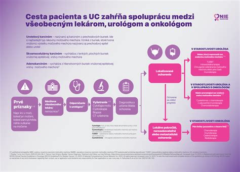 Schéma štádia genitálneho herpesu