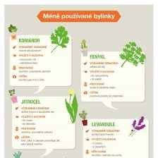 Infografika: Bezpečné vs. rizikové bylinky v tehotenstve