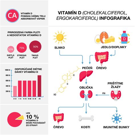 Schéma pôsobenia vitamínu A v tele