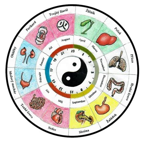 Ilustrácia symbolov tradičnej čínskej medicíny