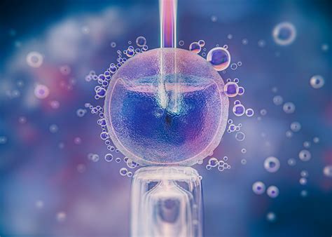 implantácia embrya