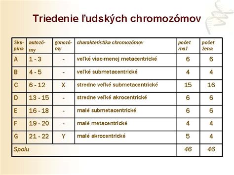 Diagram ľudských chromozómov