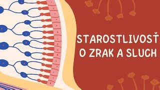 Obrázok znázorňujúci škodlivé vplyvy na reprodukčné zdravie