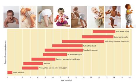 Graphic showing age ranges for developmental milestones (sitting, crawling, walking)