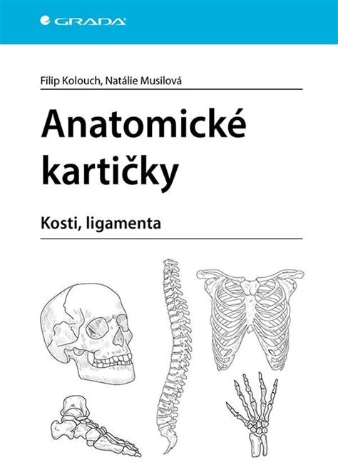 anatomické príčiny oneskoreného vývoja reči
