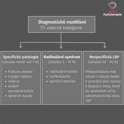 proces diagnostiky rečových porúch