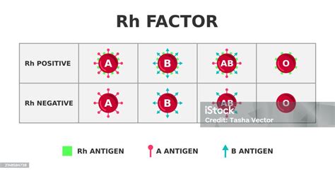 Rozdelenie Rh faktora