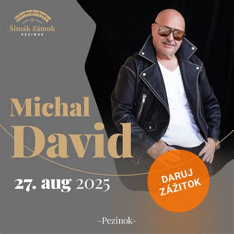 Michal David na koncerte