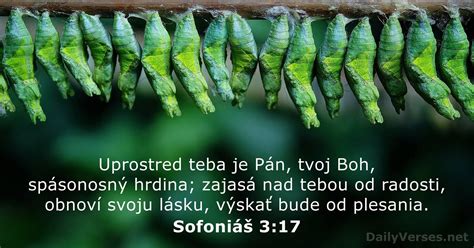 Infografika: Kľúčové biblické verše o odpustení