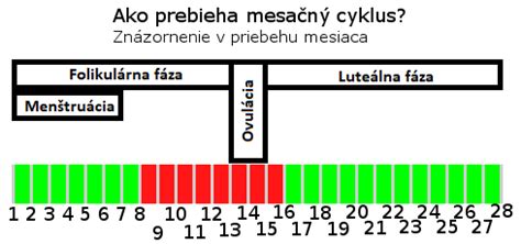 Kalendárna metóda a ovulácia