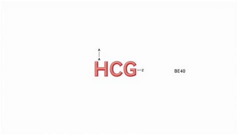 Zjednodušená štruktúra molekuly hCG s alfa a beta podjednotkami